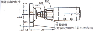 DBD型直動(dòng)溢流閥